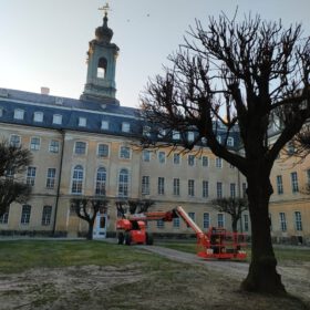 bild schloss hubertusburg